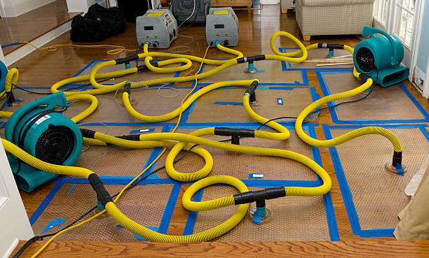Professional Storm Water Damage Restoration technician working in Wayland, IA